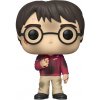 Funko POP! Harry Potter: Harry Potter with The Stone