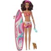 Mattel Barbie Surfistka s doplnkami