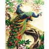 Amparo Miranda® Maľovanie podľa čísiel Pávy DX603