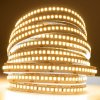 LED pásik 12V 120W 1200LED 2835 Warm 10mm 5m