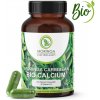 Moringa Caribbean Bio Calcium