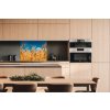 DIMEX | Dibond doska za kuchynskú linku | DBW-08060-011 Pole pšenice | 80 x 60 cm + Dibond obkladová doska Dimex do kuchyne Pole pšenice v rozmere 80 x 60 cm