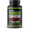 Tribulus Terrestris Extreme 90% 100 kapsúl - Warrior