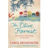Olive Harvest (Carol Drinkwater)(Brožovaná)