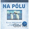 Na pólu - Dan Kainen, Caol Kaufmann