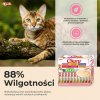 Churu Cat BOX Tuna Variety 60 x 14 g