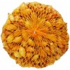 Cibuľa sadz. Všetana 0,5 kg 16-21 mm [40]