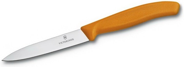 Victorinox 6.7706.L119 10 cm