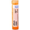 Allium Cepa gra.1 x 4 g 15CH