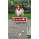 Advantix spot-on pre psov nad 25-40 kg 1 x 4 ml