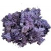 Islandský stabilizovaný aranžérsky mach 250g - fialový