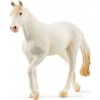 Schleich 13959 Klisna plemene Camarillo
