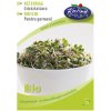 Rédei Kertimag Bio Semená reďkovky na nakličovanie (30g)