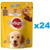 Pedigree Junior v kúskoch želé bohaté na kuracie mäso 24 x 100 g