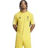 Adidas Juventus Training JSY M T-shirt IQ0875 (188748) L