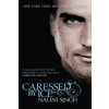 Caressed by Ice