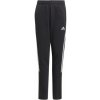 Adidas Tiro21 Sweat Jr GM7332 pants (67035) 152cm
