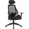 Nábytek PEGAS s.r.o. Kancelářské křeslo Q-406M, Černá