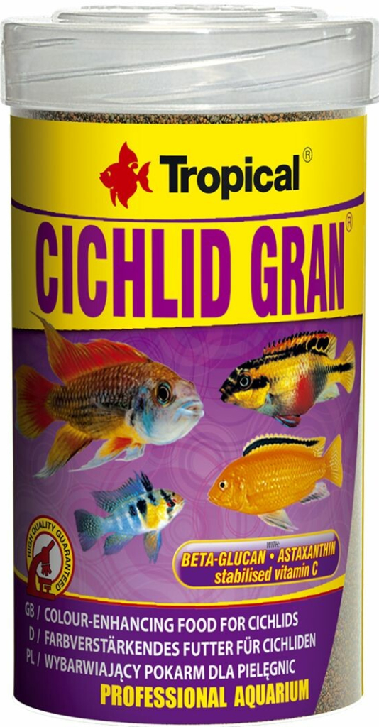 tropical cichlid gran
