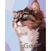 zuty Zvedavá Mačka Portrét 40 x 50 Cm Plátno Rám 8596530095378