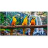 Foto obraz sklenený horizontálny Papagáje na vetve 100x50 cm