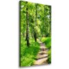 Vertikálny foto obraz canvas Brezový les 50x100 cm