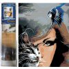 Norimpex Diamantové maľovanie Mačacie pohľad 30 x 40 cm