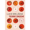 Teorie zmizení - Lucie Brejšová