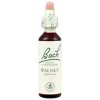 Walnut - Vlašský orech 20 ml - bachove kvapky