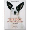 Dogs - Raymond Merritt, TASCHEN