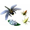 Figúrky Animal Life Životný cyklus Vážky (FAS034398)