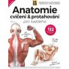 Anatomie cvičení & protahování pro každého - Mark Vella