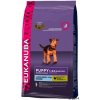 Eukanuba Puppy & Junior Large Breed 2 x 15 kg