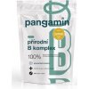 Pangamin prírodný B komplex 120 tabliet