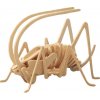 Woodcraft Drevené 3D puzzle Cvrček E015