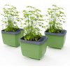 Gusta Garden GG-124F11