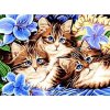 Norimpex Diamantové maľovanie Tri mačiatka v kvetoch 30 x 40 cm
