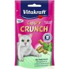 Vitakraft Crispy Crunch Dental 60 g