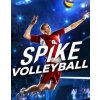 Spike Volleyball