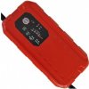 Solution CHARGER 12/24V 25Ah