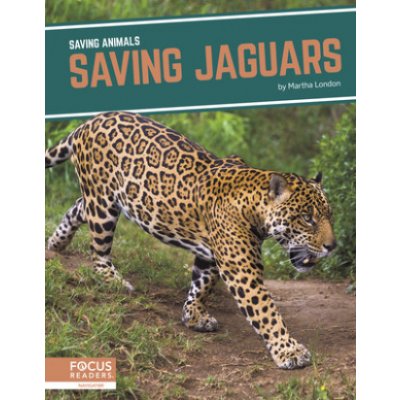 Saving Animals: Saving Jaguars