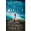 Andílek - Lucinda Berry