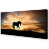 Obraz na plátne Unicorn sunset 100x50 cm