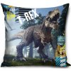 Carbotex Detský vankúš Dinosaury III