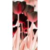 Dimex fototapeta Tulipány v červenom S-489 | 110 x 220 cm (Vliesová fototapeta | lepidlo zdarma)
