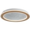 Stropné svietidlo Rabalux 71281 Efrael LED 24W 1700lm 3000-6500K zlatá, priehľadná, stmievateľné, diaľkový ovládač