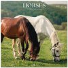 Horses, 30 x 30 cm 2026