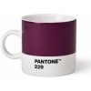 Pantone Espresso Aubergine 229 120 ml