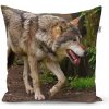 Sablio vankúš Vlk 50x50