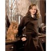 Zuty – Maľovanie podľa čísel – Hermiona s Krivolabom v učebni (Harry Potter), 40 × 50 cm, plátno 8596530242727
